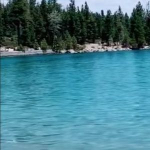 Meet your Posher, Jackie